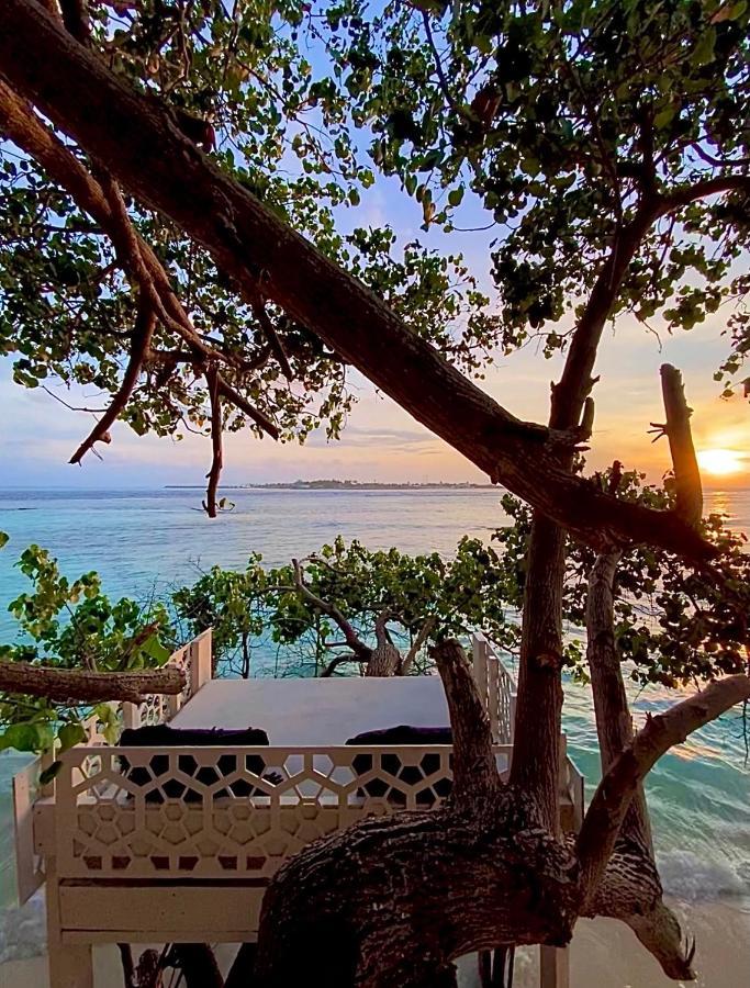 Samura Maldives Guest House Thulusdhoo Dış mekan fotoğraf