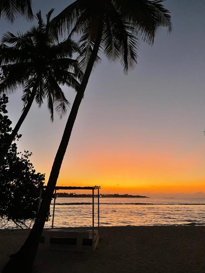 Samura Maldives Guest House Thulusdhoo Dış mekan fotoğraf